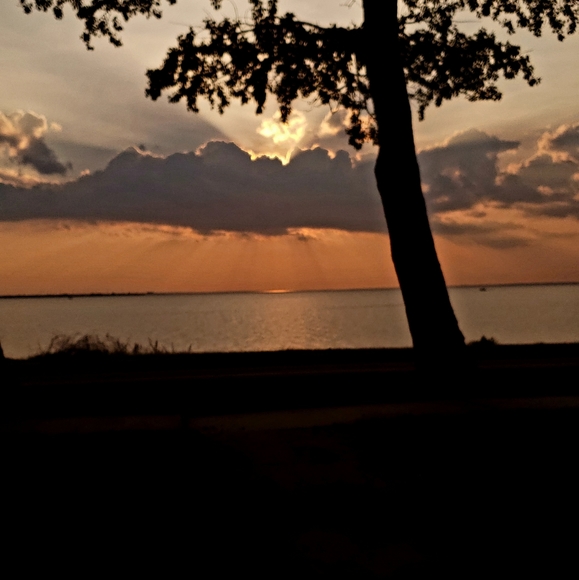 Meet your Posher, Stan - Picture 3 of 12